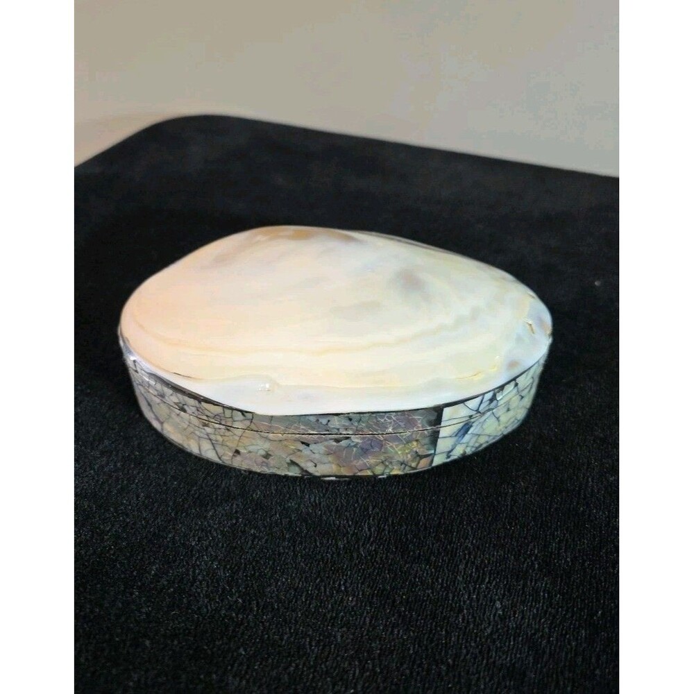 Large Polished Clam Shell Jewelry Trinket Steven Shell Handcrafted Indonesian